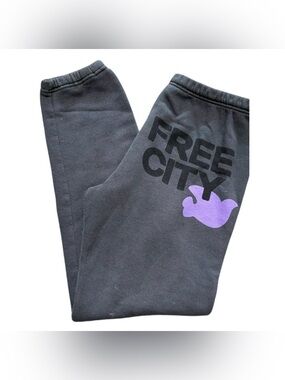 FreeCity Dark Gray Sweatpants Joggers Purple Dove Size Small